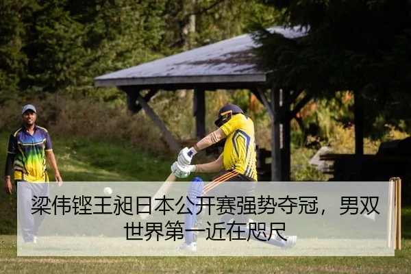梁伟铿王昶日本公开赛强势夺冠，男双世界第一近在咫尺