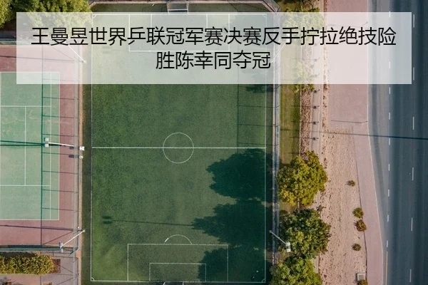 王曼昱世界乒联冠军赛决赛反手拧拉绝技险胜陈幸同夺冠